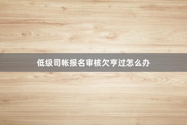 低级司帐报名审核欠亨过怎么办