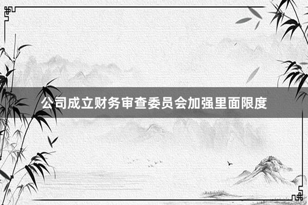 公司成立财务审查委员会加强里面限度